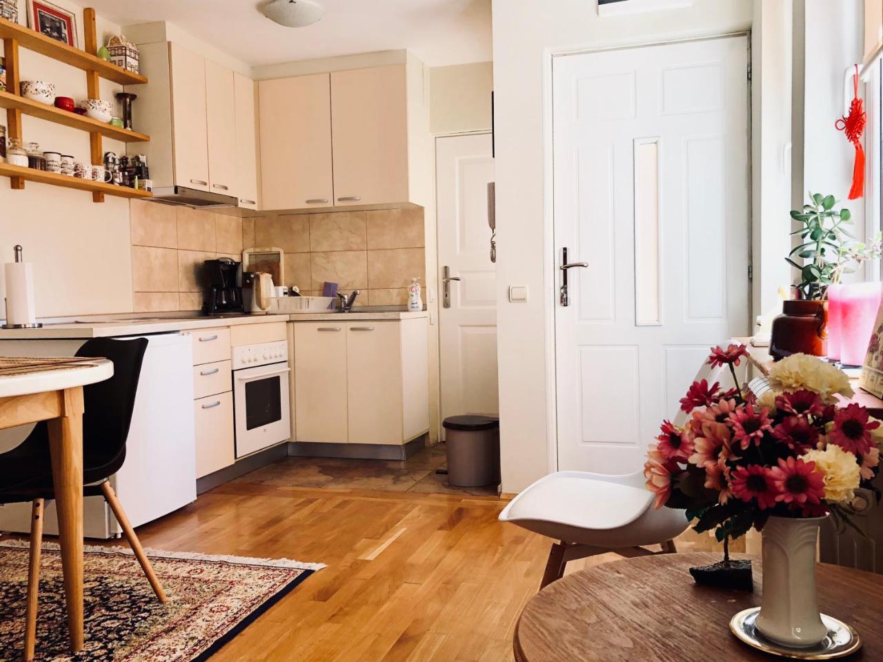Zemoon Apartment Beograd Bagian luar foto